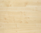 Königsahorn Königsahorn